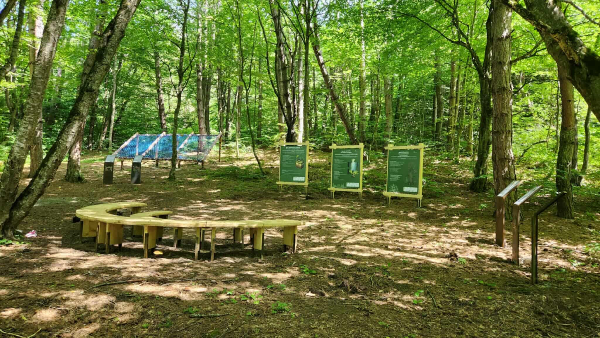 519497284_1852030618861194_5930107971631528976_n